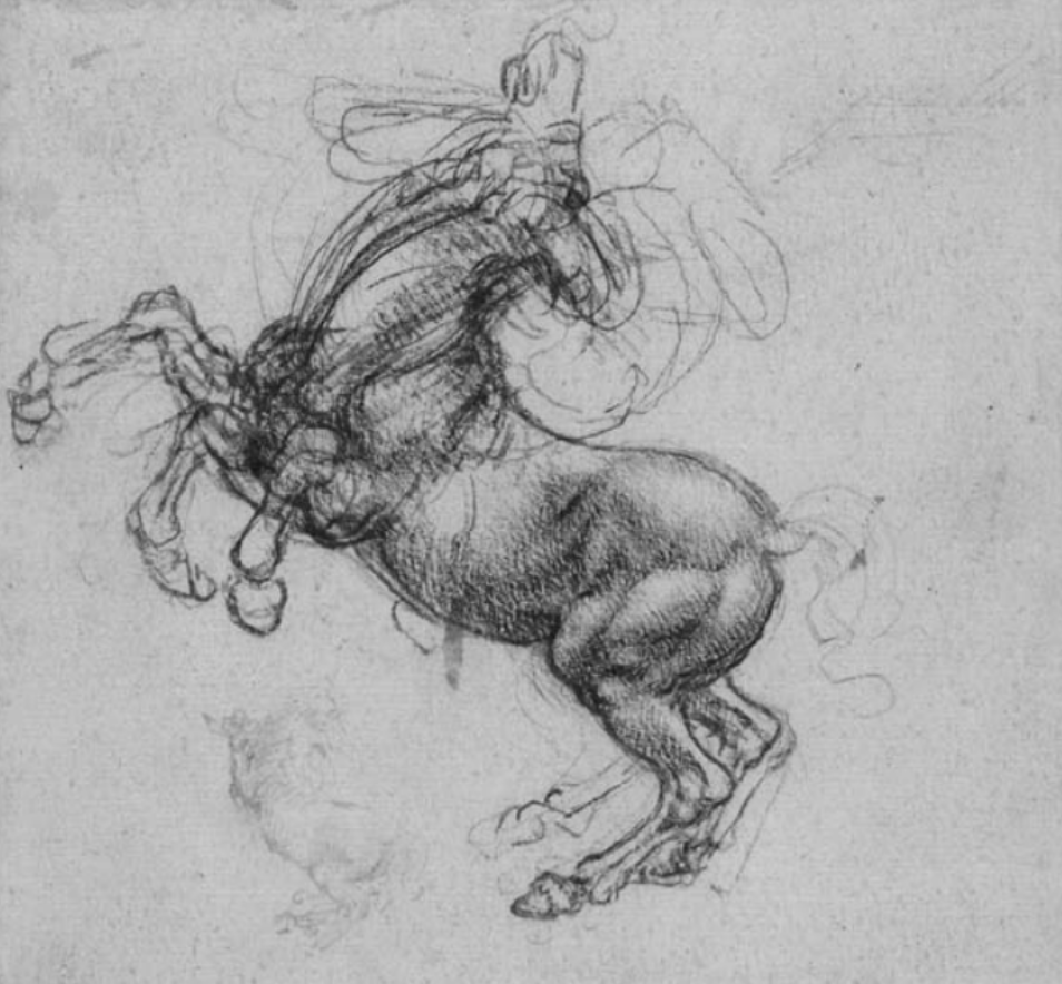 Léonard de Vinci, étude d’un cheval d’élevage, 1481-99.